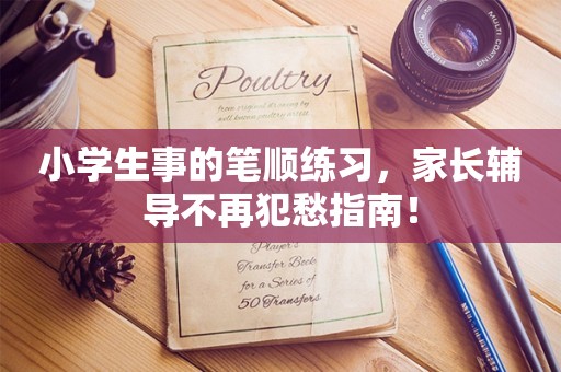 小学生事的笔顺练习，家长辅导不再犯愁指南！