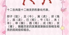 半两棉花是什么生肖？这个答案太有趣了！