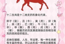 半两棉花是什么生肖？这个答案太有趣了！