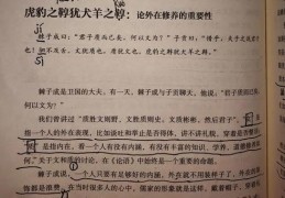 贲育之勇是什么生肖？资深专家为你权威解答！