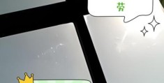 隔着玻璃晒被子有用吗这些细节要注意