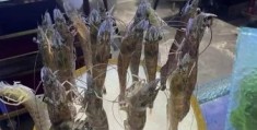 澳门豆捞是吃什么的 豆捞和普通火锅有啥区别
