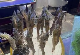 澳门豆捞是吃什么的 豆捞和普通火锅有啥区别
