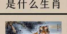 振笔疾书是什么生肖？这几种动物最符合它！