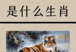 振笔疾书是什么生肖？这几种动物最符合它！