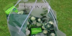 绿色情人节是什么意思 和普通情人节有啥不同