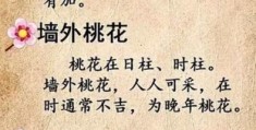 人面桃花的意思是啥？这篇带你快速了解！