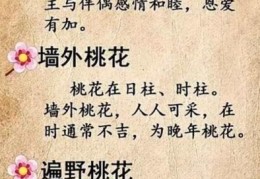 人面桃花的意思是啥？这篇带你快速了解！