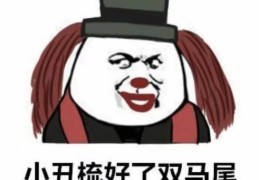 跳梁小丑打一正确答案，原来谜底是它！