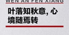 西风落叶是什么意思？简单白话为你解答疑惑！