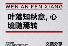 西风落叶是什么意思？简单白话为你解答疑惑！