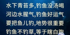 蜀门钓鱼攻略小技巧轻松掌握高效钓鱼秘诀