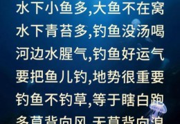 蜀门钓鱼攻略小技巧轻松掌握高效钓鱼秘诀