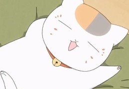 娘口三三是个什么梗 为什么它这么受欢迎
