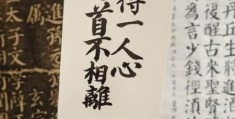 愿得一人心白首不相离下一句是什么经典爱情诗句赏析