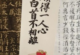 愿得一人心白首不相离下一句是什么经典爱情诗句赏析