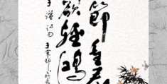 鸿毛泰山的意思深度解读：感受古人智慧的精髓！