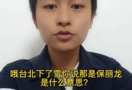 台北下的雪你说那是保丽龙歌词背后的深意
