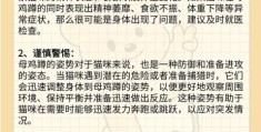 家里蹲是什么意思如何判断自己是不是家里蹲