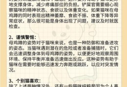 家里蹲是什么意思如何判断自己是不是家里蹲