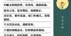 快速了解桂折一枝是什么意思？读完不再困惑！