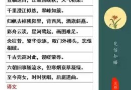快速了解桂折一枝是什么意思？读完不再困惑！
