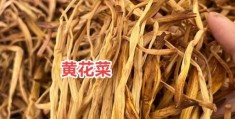 黄花菜为什么叫忘忧草中医告诉你真正原因