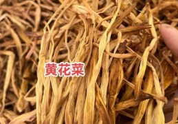 黄花菜为什么叫忘忧草中医告诉你真正原因