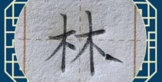 林的笔顺是怎样的？一分钟学会正确写法！