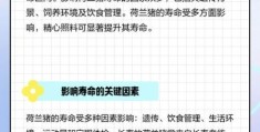 黑豚鼠寿命有多长如何延长它的寿命