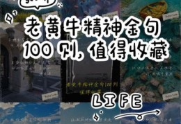老黄牛的意思揭秘它代表什么精神