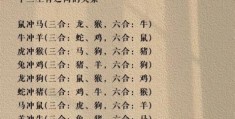 白手空拳代表哪个生肖？看看谁最能从无到有！