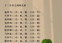 白手空拳代表哪个生肖？看看谁最能从无到有！