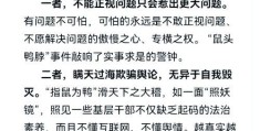 鼠鼠我鸭是什么意思网络用语解析与来源介绍