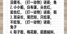 倾国倾城打一准确动物谜底揭晓，看完你就明白了！