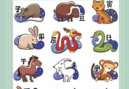 快速解谜：策马飞舆是打一生肖的正确答案！