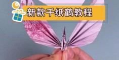 千纸鹤折法入门指南 从零开始学折纸鹤