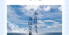 天高任鸟飞海阔凭鱼跃是什么意思 解读这句经典俗语的含义