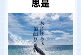天高任鸟飞海阔凭鱼跃是什么意思 解读这句经典俗语的含义