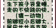 指天誓日打一最佳动物？解密谜底大揭秘！
