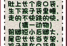 指天誓日打一最佳动物？解密谜底大揭秘！