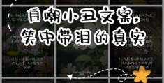 原来小丑竟是我自己 如何从自嘲中找到真正自我