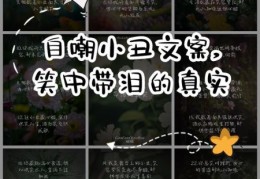 原来小丑竟是我自己 如何从自嘲中找到真正自我