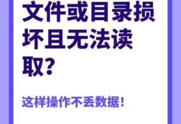 文件或目录损坏且无法读取怎么办 教你快速修复方法