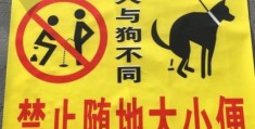 随时随地的意思：不同场景下有哪些表达？