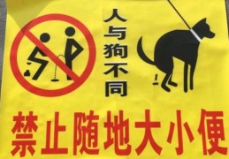 随时随地的意思：不同场景下有哪些表达？