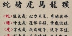 火发城头鱼水里之谜解开，找到对应生肖不费力！