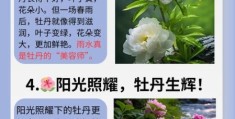 国色天香的意思到底是什么？原来和花有关！