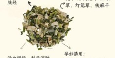 妇女节前夕打一中草药，这个谜语你知道吗？