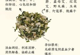 妇女节前夕打一中草药，这个谜语你知道吗？